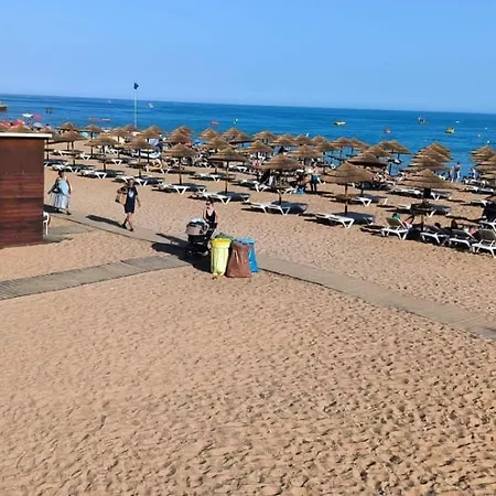 Pateo - One Bedroom In *