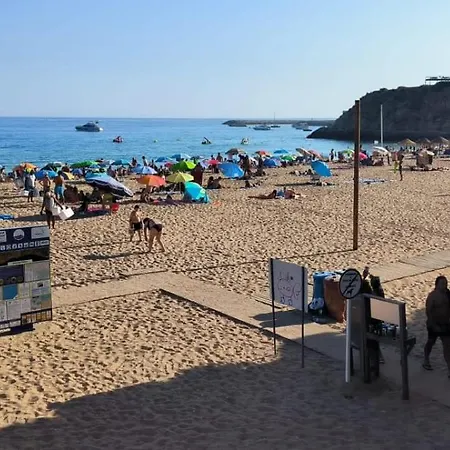 Pateo - One Bedroom In